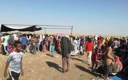 الوجود الاجنبي غير الشرعي بالسودان مهدد للأمن القومي