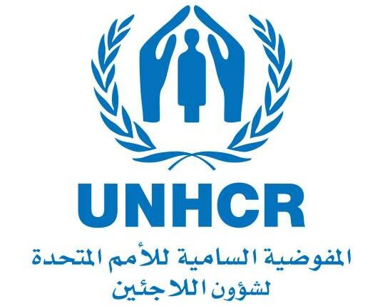 القاهرة تسحب البساط عن مفوضية